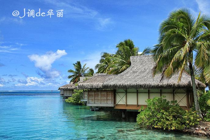 广东哪个城市的海鲜最好吃？游戏画面